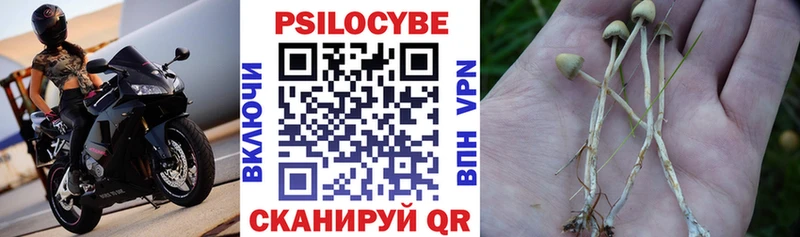 сколько стоит  Старая Купавна  Псилоцибиновые грибы мицелий 